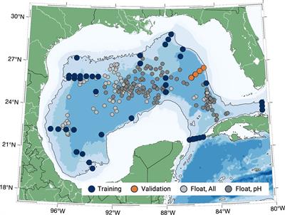 A neural network algorithm for quantifying seawater pH using Biogeochemical-Argo floats in the open Gulf of Mexico